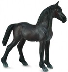 COLLECTA ŻREBIĘ FRIESIAN CZARNE