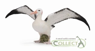 COLLECTA ALBATROS WĘDROWNY