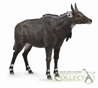 COLLECTA NIGAU