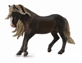 COLLECTA OGIER KOŃ SZWARCWALDZKI 2