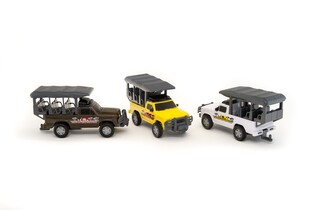 TEAMA QUAD 1:16 (3 MODELE) 2