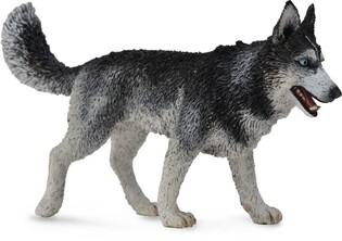COLLECTA SYBERYJSKI HUSKY