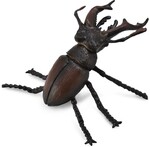 COLLECTA JELONEK ROGACZ