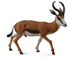 COLLECTA KOZICA SPRINGBOK