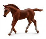 COLLECTA ŹREBIĘ IDĄCE THOROUGHBRED CHESNUT