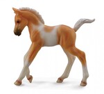 COLLECTA ŹREBIE IDĄCE PINTO PALOMINO