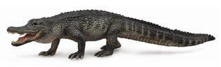 COLLECTA ALIGATOR AMERYKAŃSKI