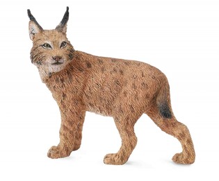 COLLECTA RYŚ