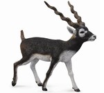 COLLECTA ANTYLOPA BLACKBUCK