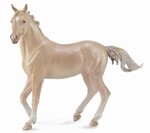 COLLECTA  OGIER AKHAL-TEKE PERLINO