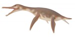 COLLECTA DINOZAUR DOLICHORHYNCHOPS