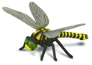 COLLECTA WAŻKA