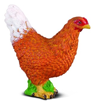 COLLECTA KURA
