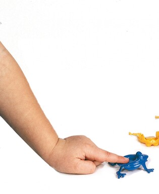VIKING TOYS GRA ŻABKI PLASTIKOWE PUDEŁKO 16 EL. 2