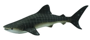 COLLECTA REKIN