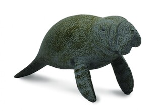COLLECTA SŁOŃ MORSKI MŁODY PŁYWAJĄCY
