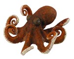 COLLECTA OŚMIORNICA