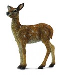 COLLECTA JELONEK