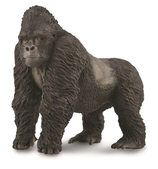 COLLECTA GORYL GÓRSKI
