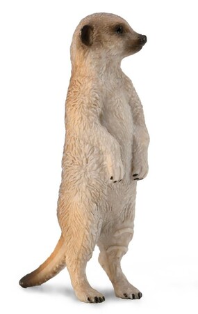 COLLECTA SURYKATKA SZARA