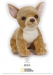NATIONAL GEOGRAPHIC GIFT BOX PIES CHIHUAHUA