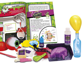 LISCIANI CRAZY SCIENCE LABORATORIUM ZWARIOWANEJ ANATOMII 3