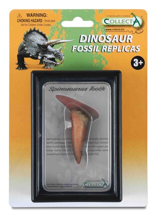 COLLECTA ZĄB SPINOZAURA W OPAKOWANIU