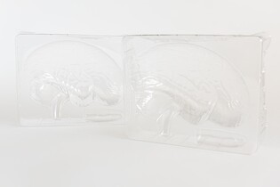 LISCIANI CRAZY SCIENCE LABORATORIUM ZWARIOWANEJ ANATOMII 10