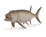 COLLECTA  WYMARŁA RYBA XIPHACTINUS