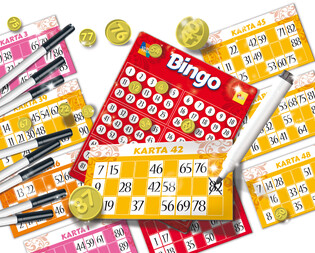 LISCIANI LUDOTECA BINGO 2
