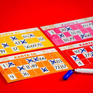 LISCIANI LUDOTECA BINGO 4