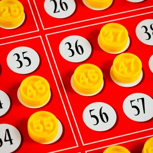 LISCIANI LUDOTECA BINGO 6
