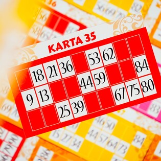 LISCIANI LUDOTECA BINGO 7