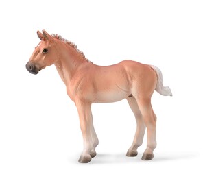 COLLECTA NORIKER KASZTANOWY ŹREBAK