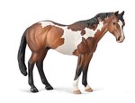 COLLECTA APPALOOSA OGIER MAŚCI BAY OVERO