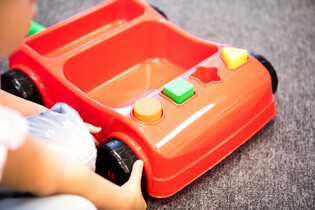 LISCIANI CAROTINA BABY WAGON 14