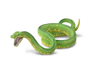 COLLECTA PYTON ZIELONY