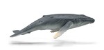 COLLECTA HUMBAK MŁODY