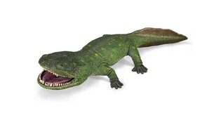 COLLECTA KULAZUCH