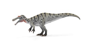 COLLECTA ŁOWIĄCY CERATOSUCHOPS Z RUSZAJĄCĄ SIĘ SZCZĘKĄ
