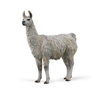COLLECTA LAMA