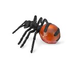 COLLECTA MRÓWKI MIODODAJNE