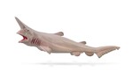 COLLECTA MISUKURINA