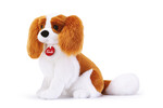 TRUDI CAVALIER KING (M)