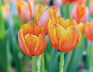 DIAMOND DOTZ ADULTS LOVE TULIPS 2