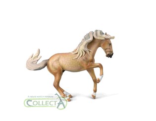 COLLECTA OGIER LUSITANO PRZYDYMIONEJ MAŚCI IZABELOWATEJ