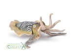 COLLECTA MĄTWA POSPOLITA