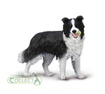 COLLECTA BORDER COLLIE
