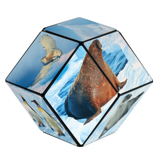 SHASHIBO ARCTIC 6