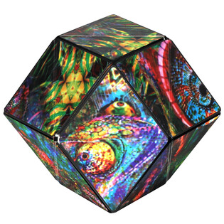 SHASHIBO THE CHAMELEON 6
